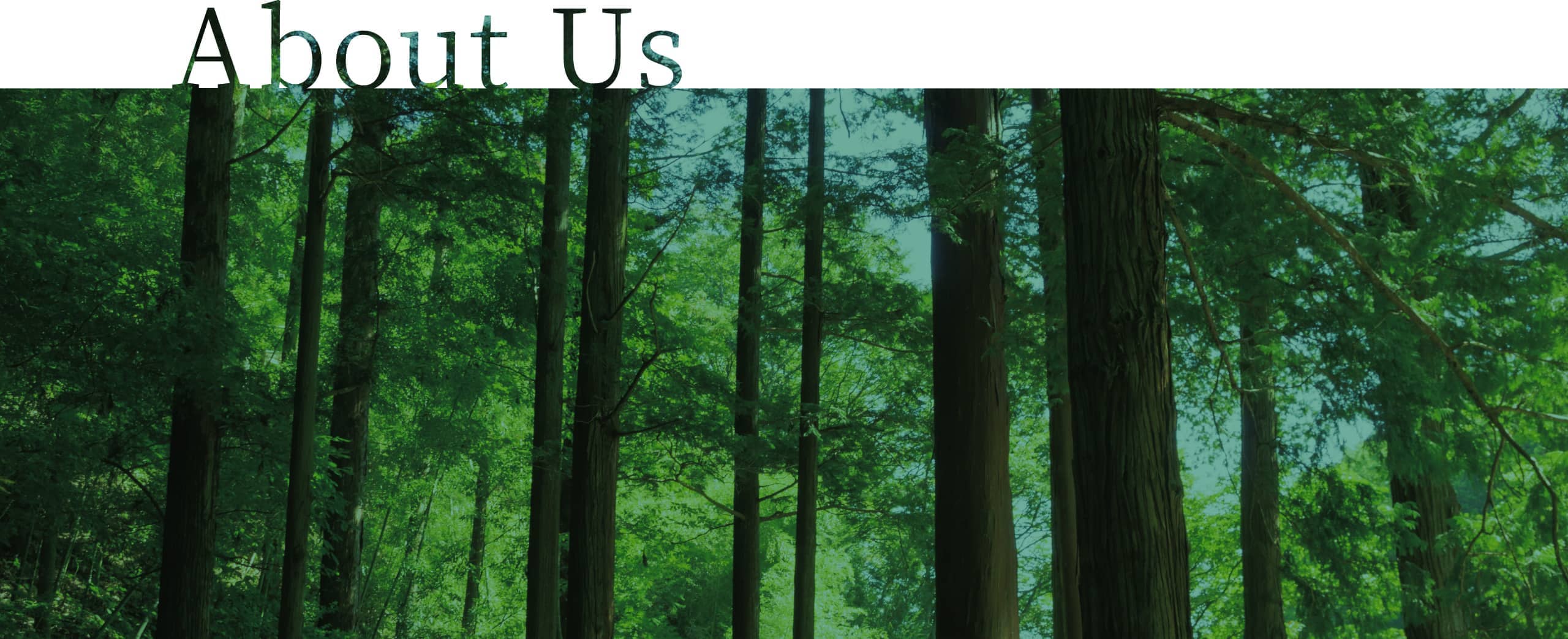 About Us
