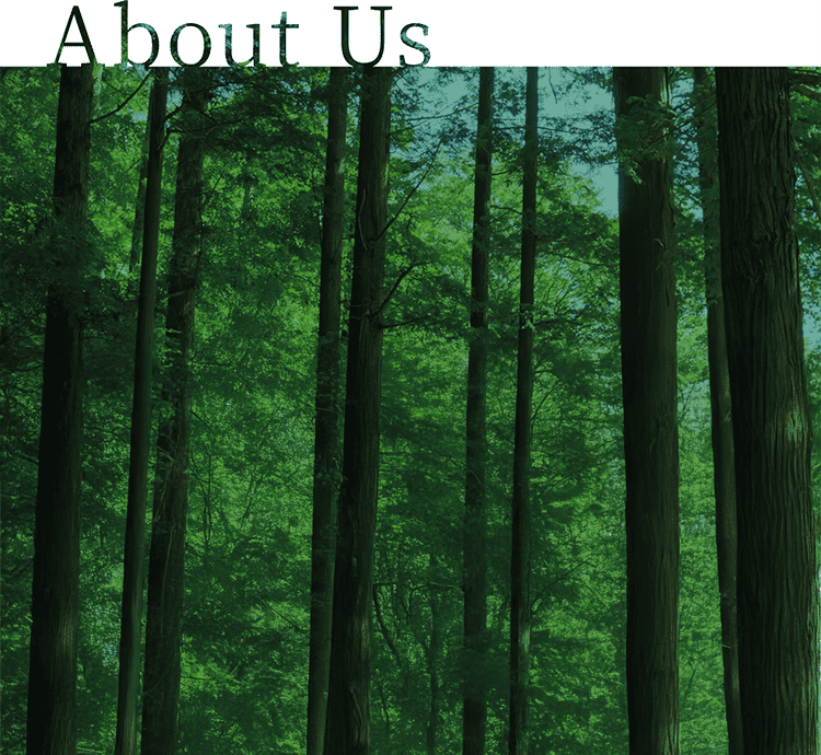 About Us