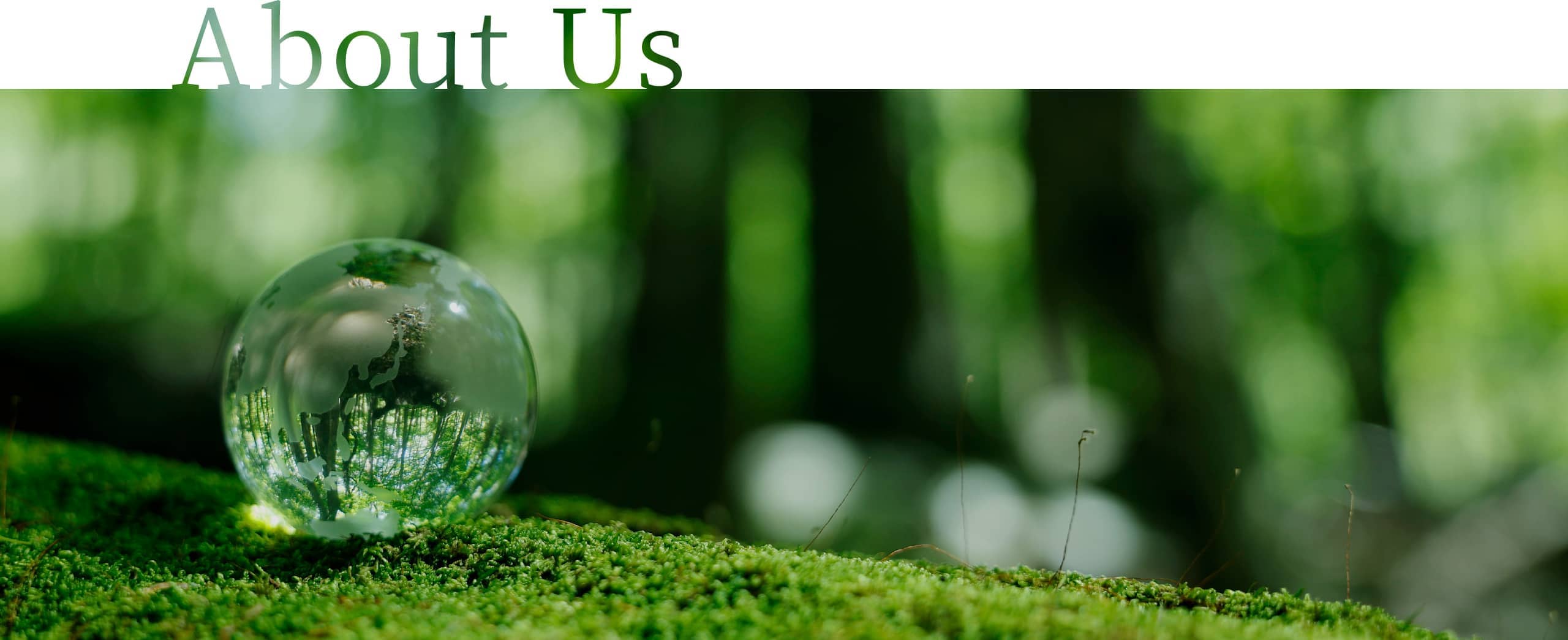 About Us