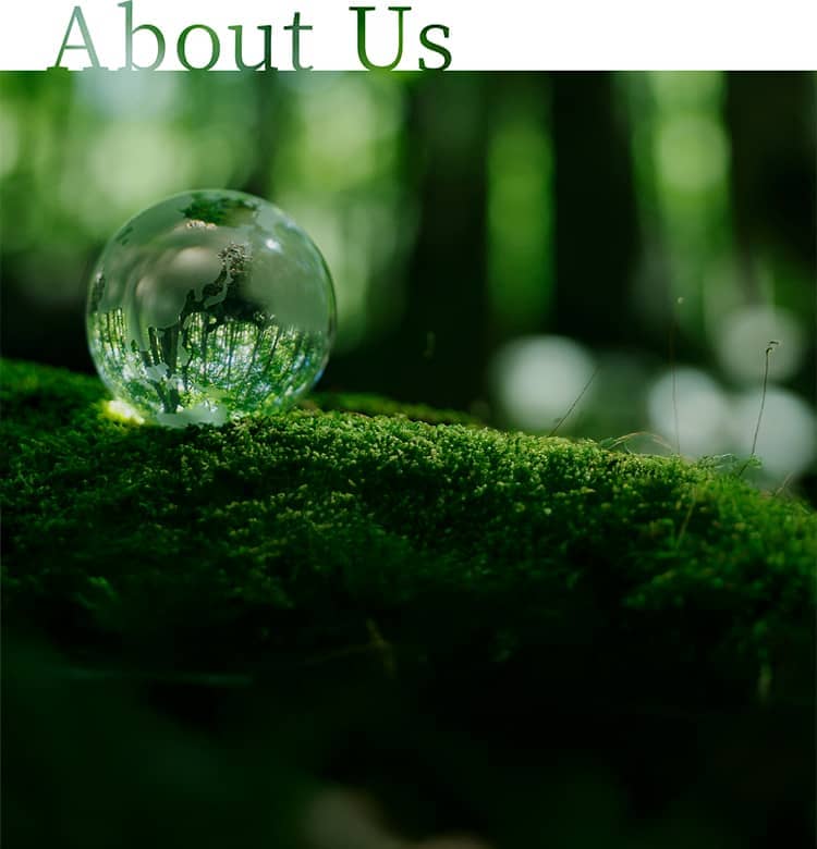 About Us