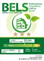 BELS